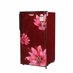 DIRECT COOL REFRIGERATOR FLORAL CURVED DOOR 185 LTR